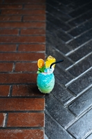 هاوانا دریم